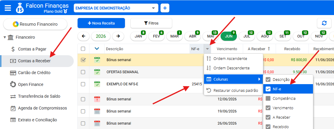 Coluna NF-e habilitada no painel de Contas a Receber